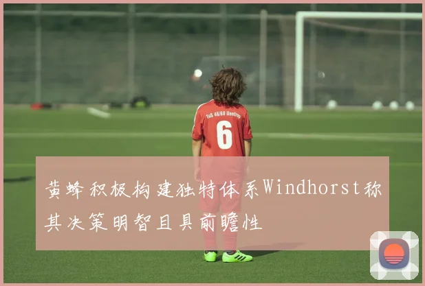 黄蜂积极构建独特体系Windhorst称其决策明智且具前瞻性